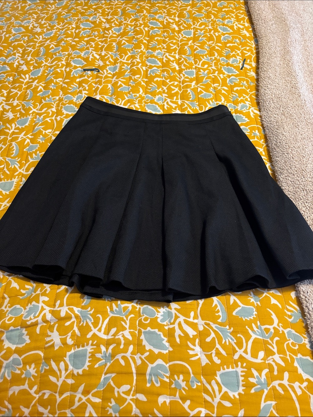 The Limited Black Pleated Skirt Flare Lined